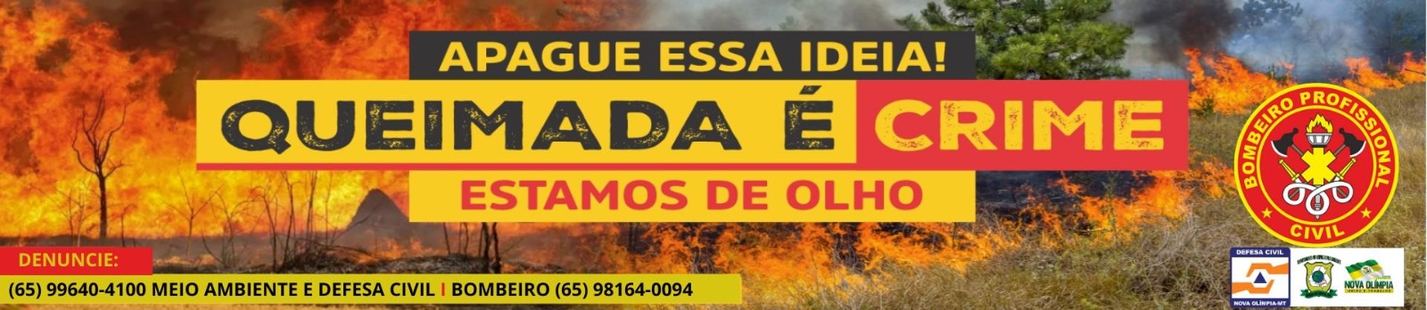 queimadas e chips
