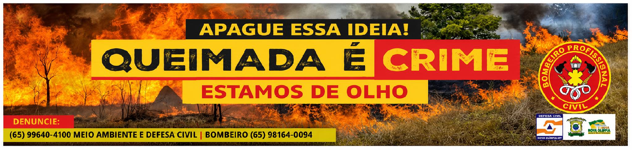 Queimadas